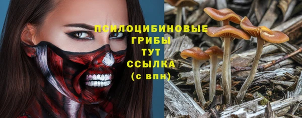 крисы Волоколамск