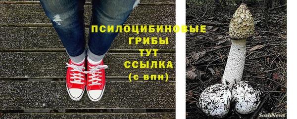крисы Волоколамск